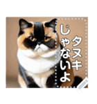 【ブサカワ猫】エキゾチックショートヘア（個別スタンプ：7）