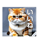 【ブサカワ猫】エキゾチックショートヘア（個別スタンプ：9）