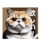 【ブサカワ猫】エキゾチックショートヘア（個別スタンプ：10）