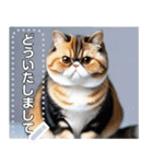 【ブサカワ猫】エキゾチックショートヘア（個別スタンプ：12）