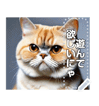 【ブサカワ猫】エキゾチックショートヘア（個別スタンプ：14）