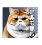 【ブサカワ猫】エキゾチックショートヘア（個別スタンプ：15）