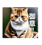 【ブサカワ猫】エキゾチックショートヘア（個別スタンプ：16）