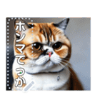 【ブサカワ猫】エキゾチックショートヘア（個別スタンプ：17）