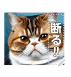 【ブサカワ猫】エキゾチックショートヘア（個別スタンプ：20）