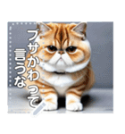 【ブサカワ猫】エキゾチックショートヘア（個別スタンプ：22）