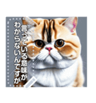 【ブサカワ猫】エキゾチックショートヘア（個別スタンプ：23）