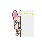 フレブルちゃんといっしょ。（個別スタンプ：13）