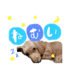 メルリキニコスタンプ3（個別スタンプ：2）