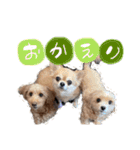 メルリキニコスタンプ3（個別スタンプ：3）