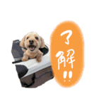 メルリキニコスタンプ3（個別スタンプ：6）