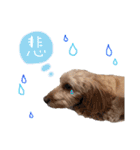 メルリキニコスタンプ3（個別スタンプ：14）