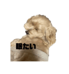 たるりんちぇる（個別スタンプ：3）