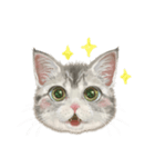 マンチカン子猫◇表情32パターン/リアル系（個別スタンプ：8）