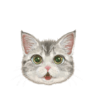 マンチカン子猫◇表情32パターン/リアル系（個別スタンプ：12）