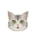 マンチカン子猫◇表情32パターン/リアル系（個別スタンプ：13）