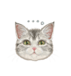 マンチカン子猫◇表情32パターン/リアル系（個別スタンプ：21）