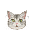マンチカン子猫◇表情32パターン/リアル系（個別スタンプ：22）