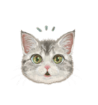 マンチカン子猫◇表情32パターン/リアル系（個別スタンプ：23）