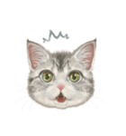 マンチカン子猫◇表情32パターン/リアル系（個別スタンプ：24）