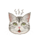マンチカン子猫◇表情32パターン/リアル系（個別スタンプ：26）