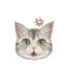 マンチカン子猫◇表情32パターン/リアル系（個別スタンプ：27）