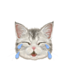 マンチカン子猫◇表情32パターン/リアル系（個別スタンプ：32）