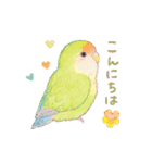 aoamoインコの敬語1（個別スタンプ：2）