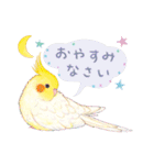 aoamoインコの敬語1（個別スタンプ：4）