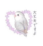 aoamoインコの敬語1（個別スタンプ：8）