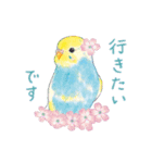 aoamoインコの敬語1（個別スタンプ：11）