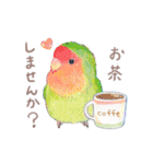 aoamoインコの敬語1（個別スタンプ：13）