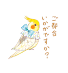 aoamoインコの敬語1（個別スタンプ：17）