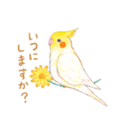 aoamoインコの敬語1（個別スタンプ：18）