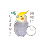 aoamoインコの敬語1（個別スタンプ：19）