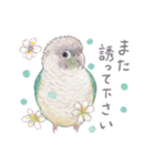 aoamoインコの敬語1（個別スタンプ：24）