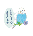 aoamoインコの敬語1（個別スタンプ：27）