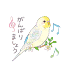 aoamoインコの敬語1（個別スタンプ：29）