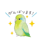 aoamoインコの敬語1（個別スタンプ：30）