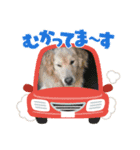 新しいこと始めましょ（個別スタンプ：8）