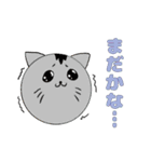 猫？玉？謎のにゃーこっこ玉その2（個別スタンプ：8）