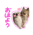 みぃきちラブラブすたんぷ♡（個別スタンプ：1）