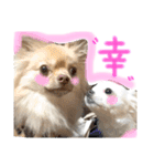 みぃきちラブラブすたんぷ♡（個別スタンプ：4）