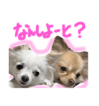みぃきちラブラブすたんぷ♡（個別スタンプ：5）