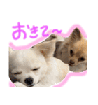 みぃきちラブラブすたんぷ♡（個別スタンプ：6）