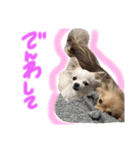 みぃきちラブラブすたんぷ♡（個別スタンプ：8）