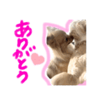 みぃきちラブラブすたんぷ♡（個別スタンプ：10）