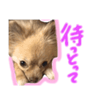 みぃきちラブラブすたんぷ♡（個別スタンプ：16）