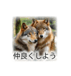 少し様子がおかしい動物スタンプ1（個別スタンプ：18）