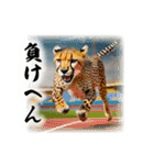 少し様子がおかしい動物スタンプ1（個別スタンプ：23）